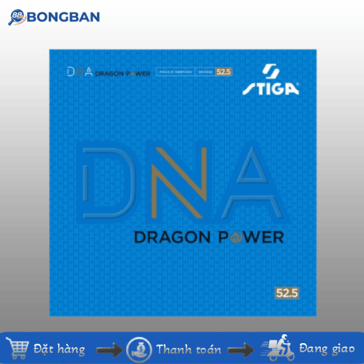 Stiga DNA Dragon Power